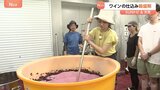 「おいしいワインができると思います」ワインの仕込み最盛期 今年は雨が少なくしっかり熟したブドウに【SUNトピ】|TBS NEWS DIG