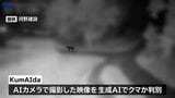 AIで出没通知するシステム開発 その名も「クマイダー」 検知精度は95% 遠野市と山形の企業2社が成果報告 盛岡市|TBS NEWS DIG