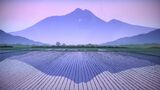 広大な山々と美しい光 シルクスクリーンで四季折々の風景を繊細に 小暮真望版画展 天満屋岡山店で14日まで【岡山】|TBS NEWS DIG