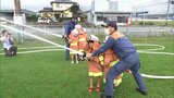 秋の全国火災予防運動を前に　子どもたちが消防の仕事と防災を学ぶ　「幼年消防フェスティバル」|TBS NEWS DIG