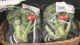 ブロッコリーの値段は3倍　出荷量は10分の1に  「泣く泣く廃棄する生産者も」 背景には“多雨”と“暑さ”のストレス|TBS NEWS DIG