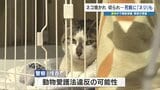 ネコ焼かれ切られ、火葬すると出てきた『ネジ』… 複数匹が虐待か？　警察の捜査はじまる　熊本・山都町|TBS NEWS DIG