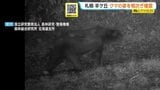 【ヒグマSOS】「夜7時と9時に続けて出没」札幌・羊ケ丘でカメラが捉えたヒグマの姿　札幌市がごみ出しルール徹底を呼びかけ　|　北海道のニュース｜HBC北海道放送