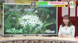 【28日(木)広島天気】晴れ間あるも北部中心に昼前後に一時雨の可能性あり|TBS NEWS DIG