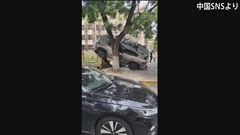 中国・北京郊外で車が暴走　子どもたちを次々とはねる　アクセルとブレーキの踏み間違いが原因か| TBS CROSS DIG with Bloomberg