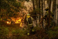 スペイン山火事で「全国的な協定」呼び掛け、党派超えて対応を－首相| TBS CROSS DIG with Bloomberg