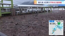 記録的大雨で大量の流木が漂着　高速船が接岸できず欠航するなど生活に影響　鹿児島・屋久島町 宮之浦港|TBS NEWS DIG