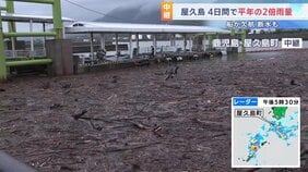 記録的大雨で大量の流木が漂着　高速船が接岸できず欠航するなど生活に影響　鹿児島・屋久島町 宮之浦港|TBS NEWS DIG
