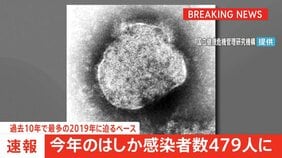 【速報】今年のはしか感染者数479人　過去10年で最多だった2019年に迫るペース|TBS NEWS DIG