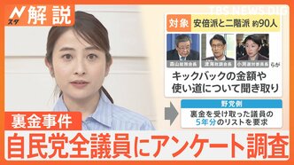 「党全体としてやっている感を出したいだけなのではないか」自民党全議員にアンケート行うも質問は2問のみ【Nスタ解説】|TBS NEWS DIG