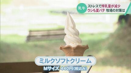 人間だけじゃない 厳しい暑さの影響でウシも夏バテ…牧場の対策は