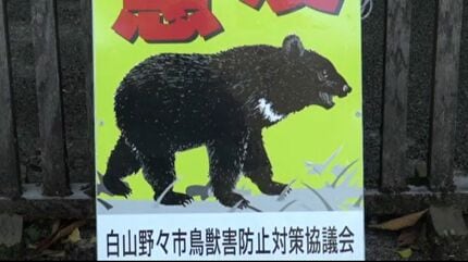 ガラスには新たに別の個体とみられるクマの足跡も… 22日に白山比咩神社