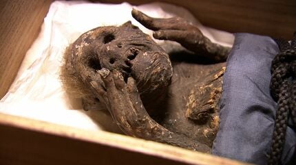 密着1年！徹底解説】寺に眠る “人魚のミイラ” 解明プロジェクト ついに