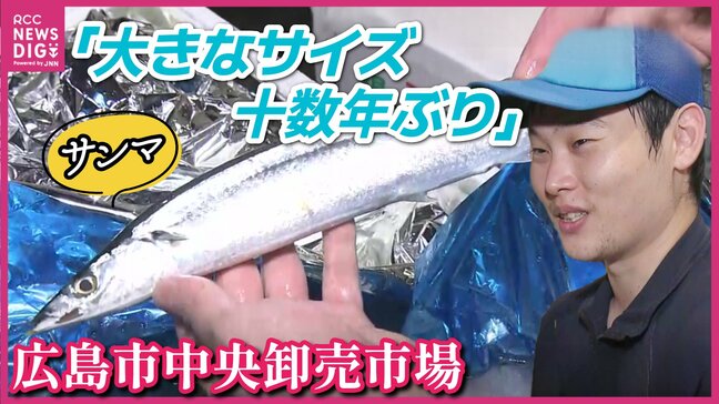“十数年ぶり”大きなサイズ！卸売市場で聞いてみた“おいしいサンマ”の見分け方は？「プランクトン等が増え、大きいサイズが穫れるようになったのかな」　天然はまちも入荷増加　広島市中央卸売市場|TBS NEWS DIG