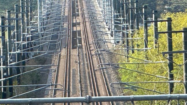 速報　北海道新幹線･新青森～新函館北斗で運転再開　線路にシカ侵入の可能性も…シカ見当たらず　JR北海道|TBS NEWS DIG
