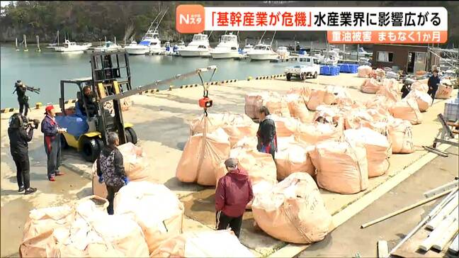 巡視船の重油流出から1か月　意見交換会で水産関連業者から売上減や風評被害懸念する声　宮城・塩釜市|TBS NEWS DIG