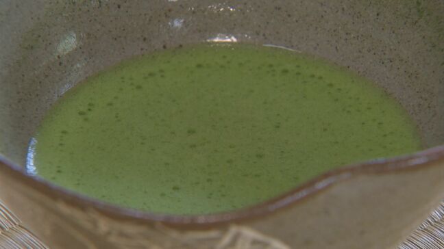 「インバウンドの方がわざわざ来て買い占めて帰る…」お茶処・松江が苦悩　世界的「抹茶ブーム」で1か月で価格が2倍…仕入れ値は3倍に　「抹茶騒動」深刻|TBS NEWS DIG