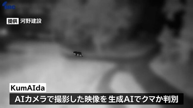 AIで出没通知するシステム開発　その名も「クマイダー」　検知精度は95%　遠野市と山形の企業2社が成果報告　盛岡市|TBS NEWS DIG
