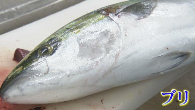 「ひみ寒ぶり」記録的不漁でブリ丼4380円　目当ての観光客も高値に戸惑い　北陸の港町に”経済効果１０億円”もいつ富山湾へ　|TBS NEWS DIG