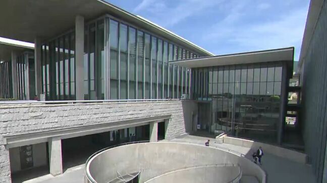 瀬戸内国際芸術祭「美術館連携」プロジェクト 兵庫県立美術館で岡山出身の画家・国吉康雄らの作品を集めた特別展|TBS NEWS DIG