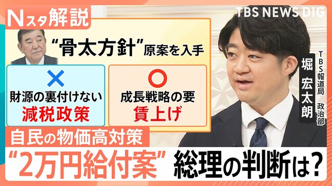 「財源の裏付けのない減税政策はやらない」自民党の物価対策“減税なし”のワケ　“2万円給付案”も浮上　総理の判断は【Nスタ解説】|TBS NEWS DIG