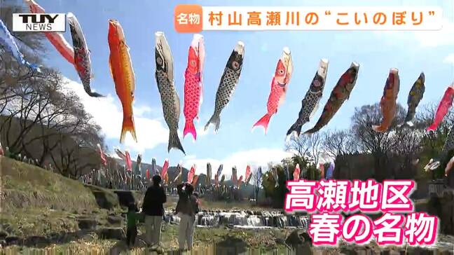 今年も数えきれないほどの鯉のぼりが！　山形市・高瀬地区の荒れた河川敷が美しい景色へ..."鯉のぼりおじさん" おすすめのビュースポットは？　|TBS NEWS DIG