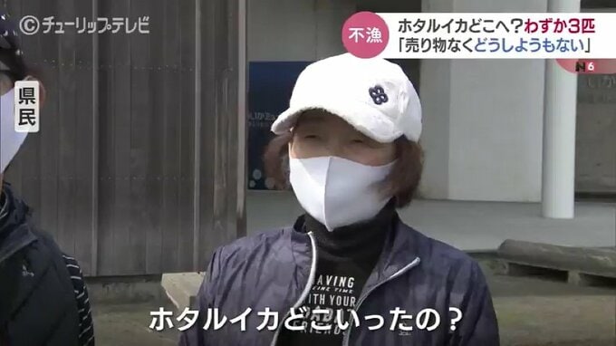 ホタルイカ解禁9日目はわずか3匹　売らずに神棚に供え…祈るしかない　ホタルイカどこいったの？　　|　富山のニュース｜天気・防災｜チューリップテレビ