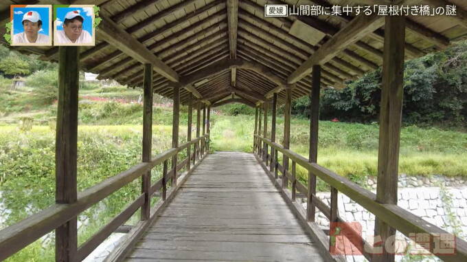 山間部に集中する “屋根付き橋”の謎  弓削神社の参道に架かる太鼓橋も  愛媛|TBS NEWS DIG