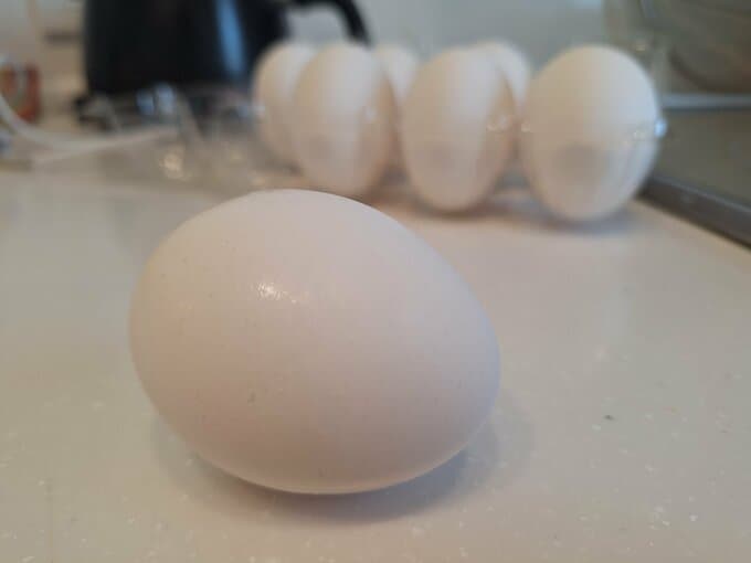 暑い中「熱中症だけでなく食中毒にも気をつけて！」夏休みを元気に過ごすために、身近な食材の取り扱いに一層注意を！|TBS NEWS DIG