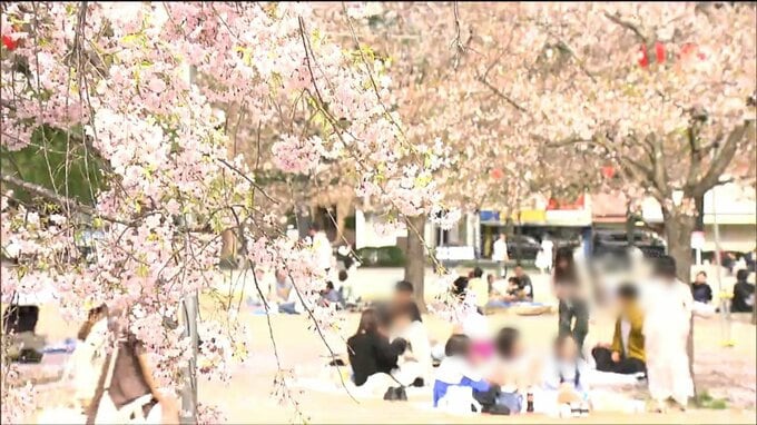 仙台・西公園花見会場で「焼きカキ」食べた男女３人食中毒　期間限定の仮設店舗で販売　　|　宮城のニュース│tbc NEWS│tbc東北放送