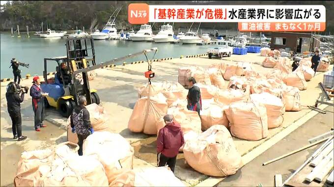 巡視船の重油流出から1か月　意見交換会で水産関連業者から売上減や風評被害懸念する声　宮城・塩釜市|TBS NEWS DIG