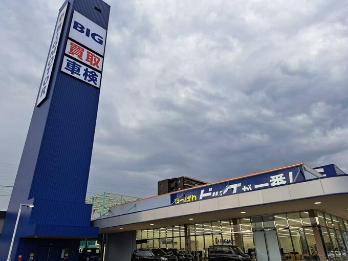 「青い巨塔」巨大なビッグモーター駐車場 条例違反を指摘する声に市の見解は　|　愛媛のニュース - Nスタえひめ｜あいテレビは6チャンネル