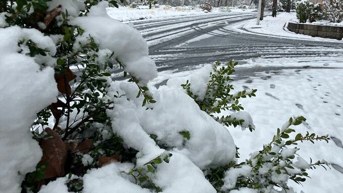 県内の積雪　山中湖村１５センチ、大月７センチなど　大雪のおそれはなくなる　山梨|TBS NEWS DIG