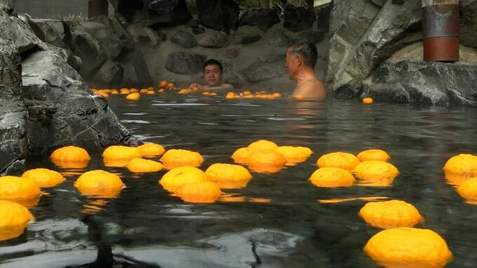 冬至にゆず湯「香りがいい、最高です」湯原温泉では語呂合わせで「ろてんぶろ」になる626個のゆず投入【岡山】|TBS NEWS DIG
