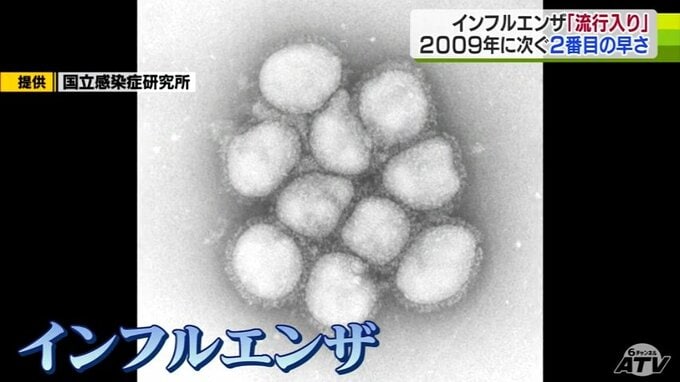 『インフルエンザ』過去2番目に早い「流行入り」の青森県　気になるワクチン接種のタイミング　インフルとコロナの2つのワクチンは同時接種が可能|TBS NEWS DIG