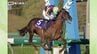 岩手競馬所属のフォースメン、JpnI・東京ダービーに出走決まる　7日、枠順が6枠11番で確定　|　IBC NEWS | IBC岩手放送