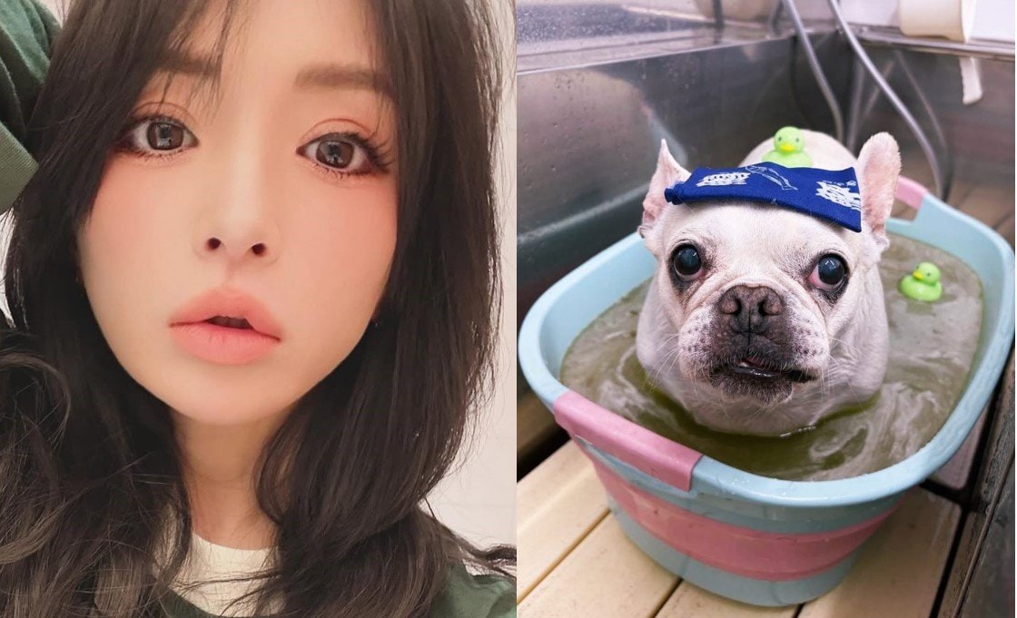 浜崎あゆみ 】 愛犬の写真を公開 「シャンプーと爪切りに行ったら