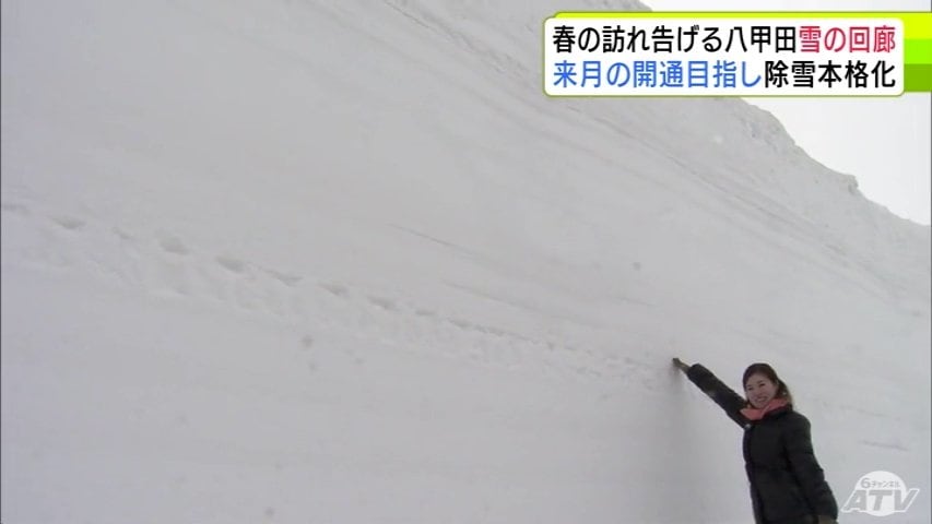 春の幕開けへ 真っ白な“雪の回廊”が姿をあらわす 国道103号“八甲田