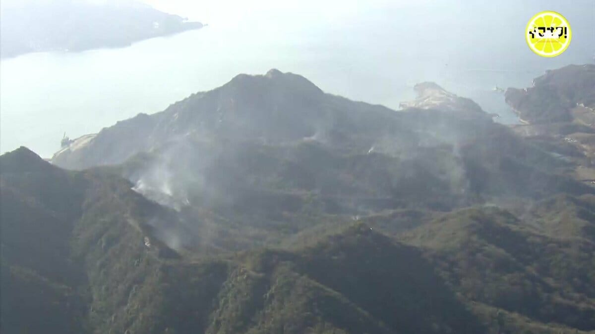【速報】広島・江田島市の山火事 発生5日目で「鎮火」 TBS NEWS DIG