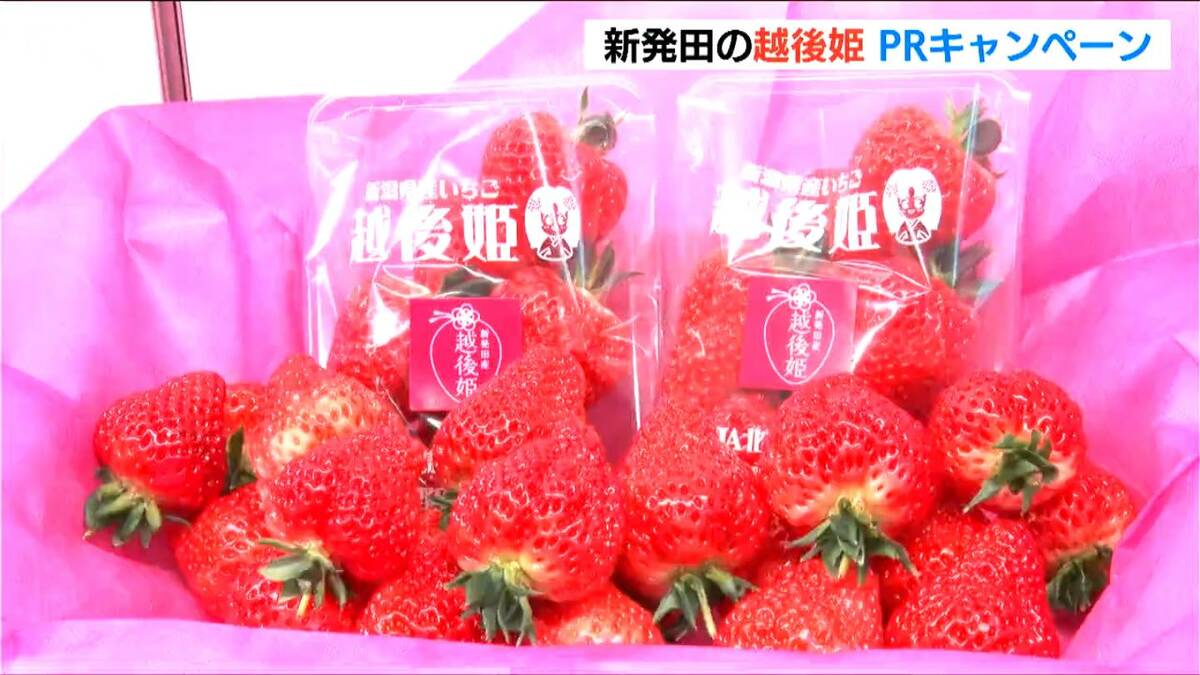 サムネイル_越後姫を㏚『いちご一会めぐり』40店舗が自慢のメニューを販売　新潟・新発田市