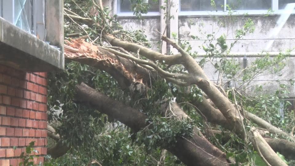 【台風6号】一夜明け被害が明らかに　県が災害対策本部会議で各地の被害状況を共有【写真多数】