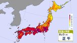 東日本中心に連日の酷暑日に 京都と岐阜は観測史上初の40℃か|TBS NEWS DIG