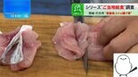 「家庭ではなかなか食べられない」“高級魚”が給食に!シリーズ・ご当地給食調査【THE TIME,】|TBS NEWS DIG