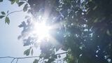 【速報】四国地方が梅雨明け 平年より5日早く去年より15日遅い 高松地方気象台が発表 | 岡山・香川のニュース | 天気 | RSK山陽放送