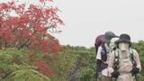 「きつい…」入社1年目記者が5時間登って疲労困憊 その先で見た秋の白山の絶景|TBS NEWS DIG