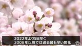 青森県八戸市にも桜前線到達！過去〝最速〟で開花宣言　|　青森のニュース│ATV NEWS│青森テレビ