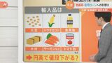 【解説】“事実上の利上げ”で円高の“恩恵”は?それでも電気代は下がらない?|TBS NEWS DIG