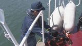 “海に囲まれた”賢島 G7交通大臣会合まで1か月 海からのテロを警戒 水中ドローンで危険物ないか確認 三重県警 | 名古屋・愛知・岐阜・三重のニュース【CBC news】 | CBC web