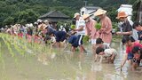 中世の景観残る田染荘で「御田植祭」 昔ながらの田植えを体験 大分 | 大分のニュース|OBS NEWS|大分放送