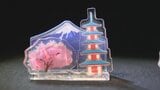 「悲しい思い出を、楽しい思い出で手元に」富士山と五重塔で話題の観光地　カプセルトイが人気　コロナ禍のパーティションを再利用　山梨・新倉山浅間公園|TBS NEWS DIG
